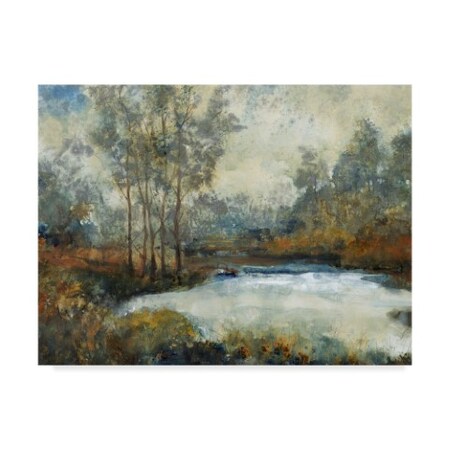 Trademark Fine Art Tim Otoole 'Ethereal Light I' Canvas Art, 24x32 WAG03855-C2432GG